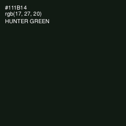 #111B14 - Hunter Green Color Image